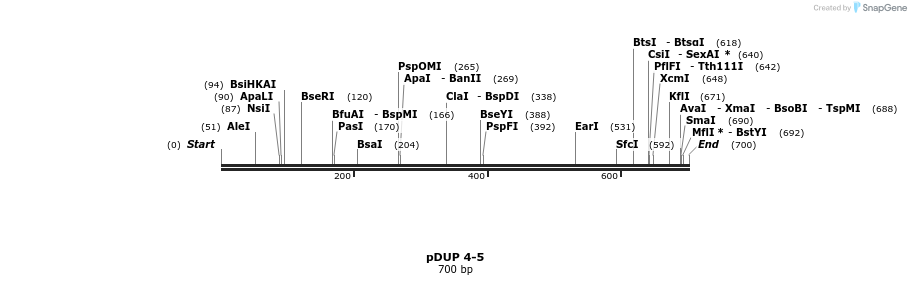 28941_map