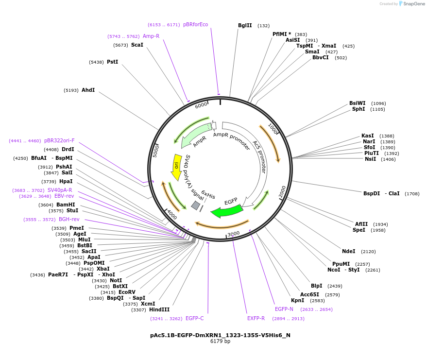 289423_map