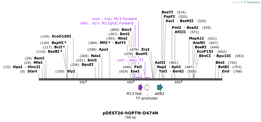 28946_map