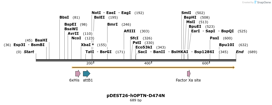 28947_map