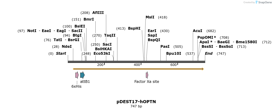 28948_map