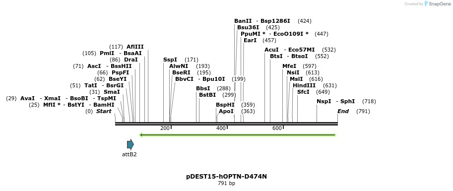 28950_map