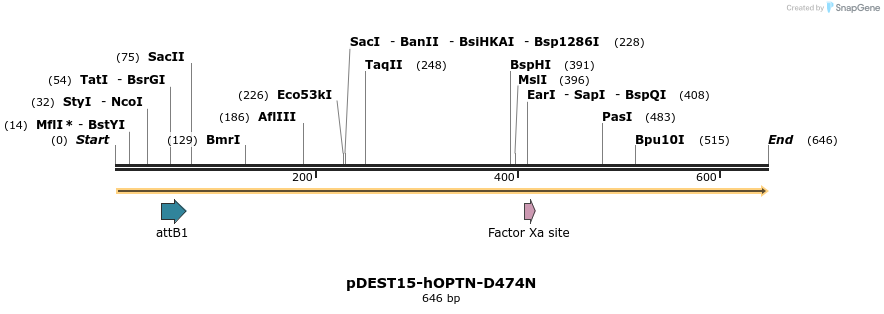 28951_map