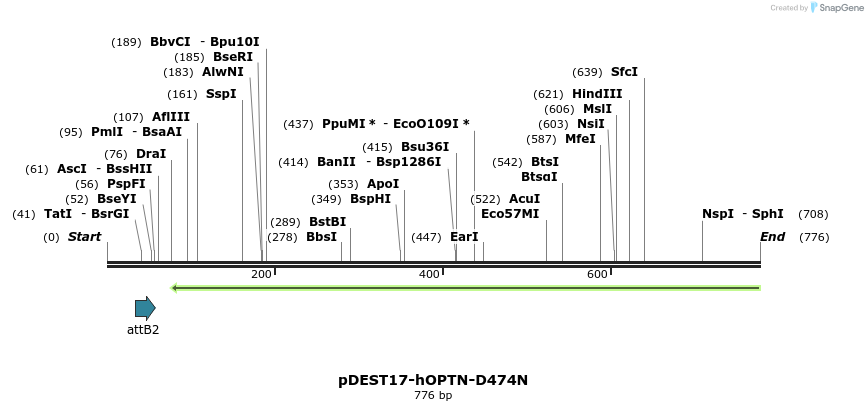 28952_map
