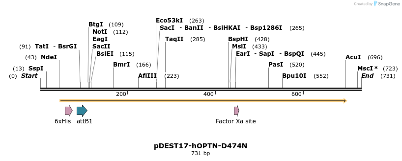 28953_map