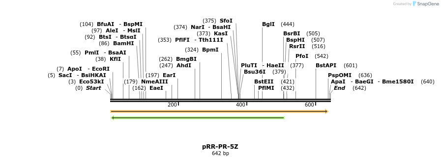 28954_map