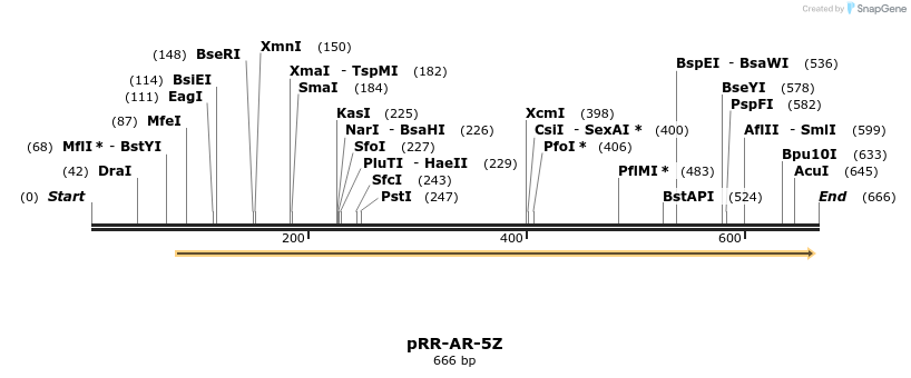 28955_map