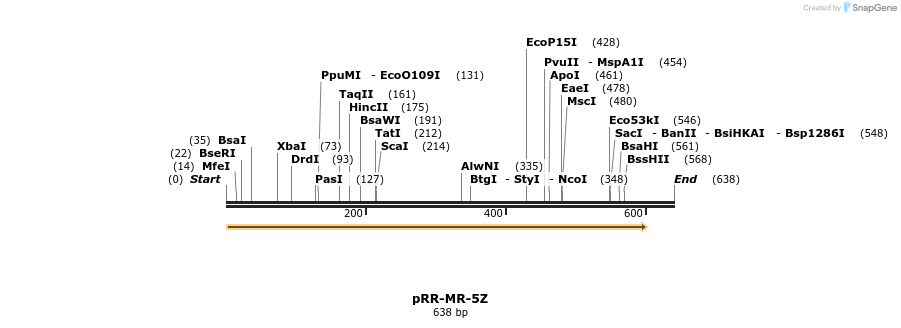 28956_map