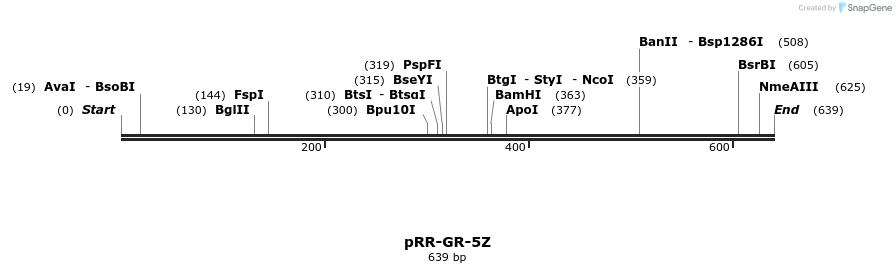 28957_map