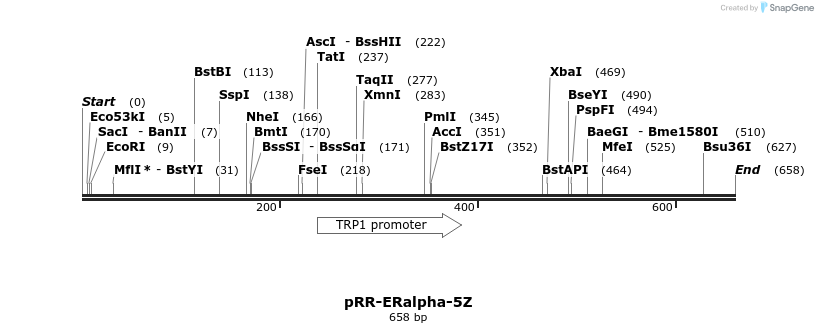 28962_map