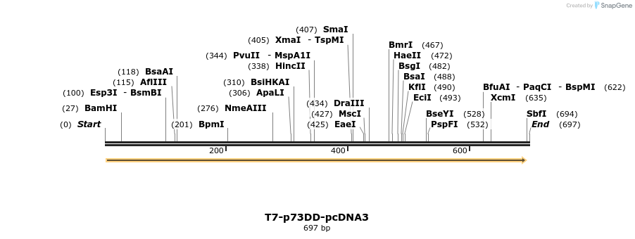 28964_map