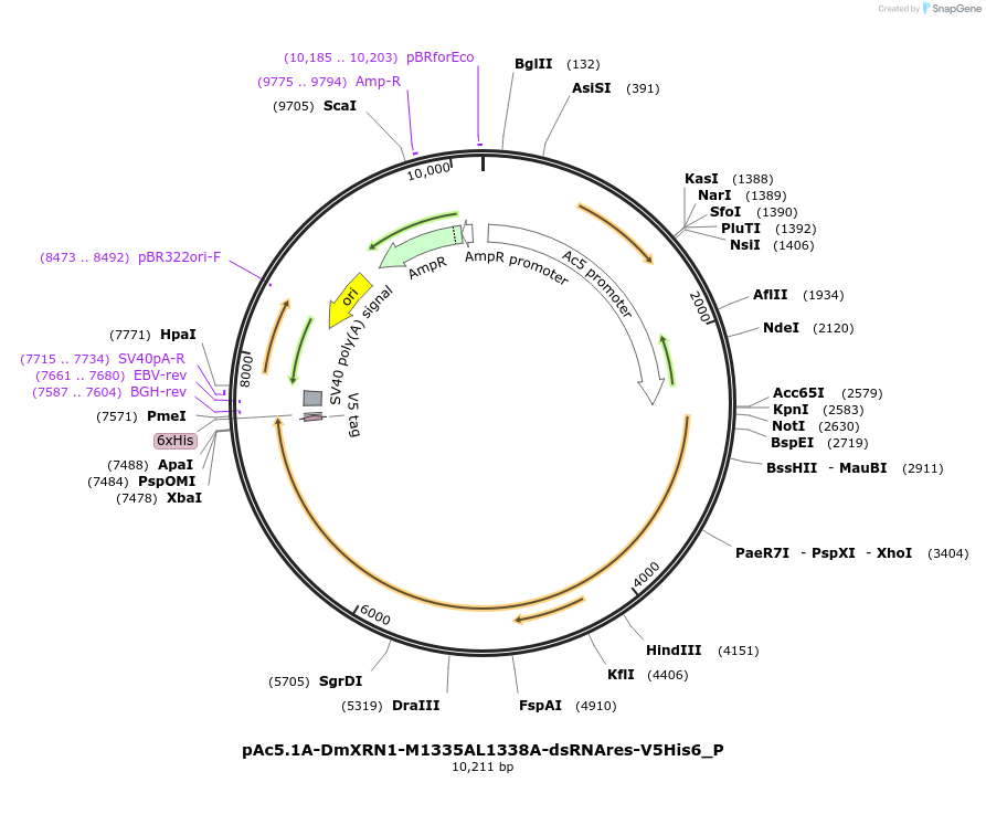 289654_map