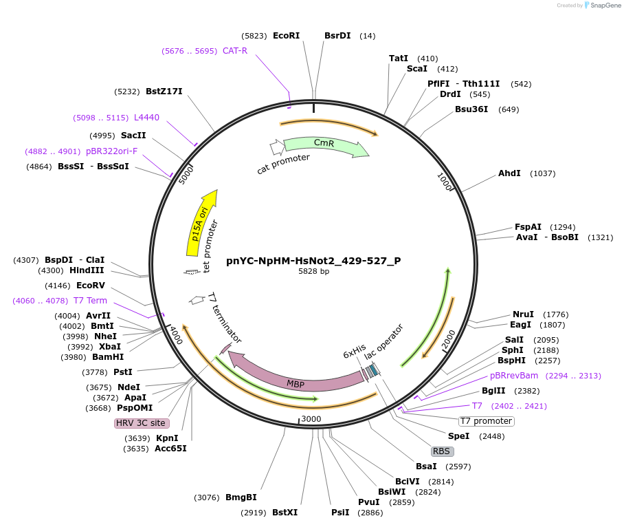 289671_map