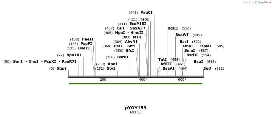 28969_map