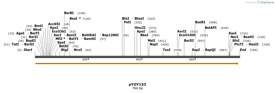 28970_map