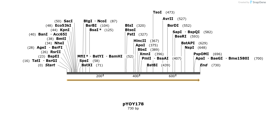 28972_map