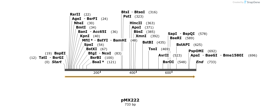 28974_map