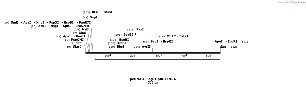28977_map