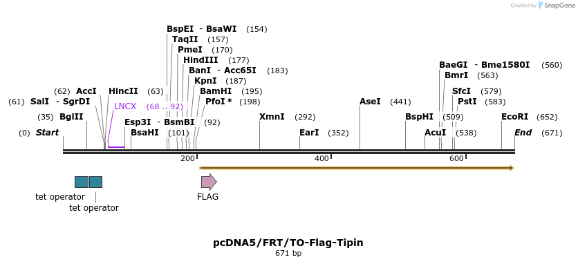 28979_map