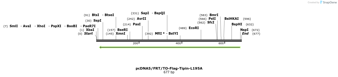 28980_map