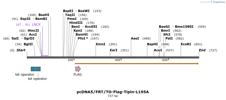 28981_map