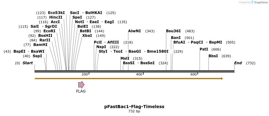 28982_map