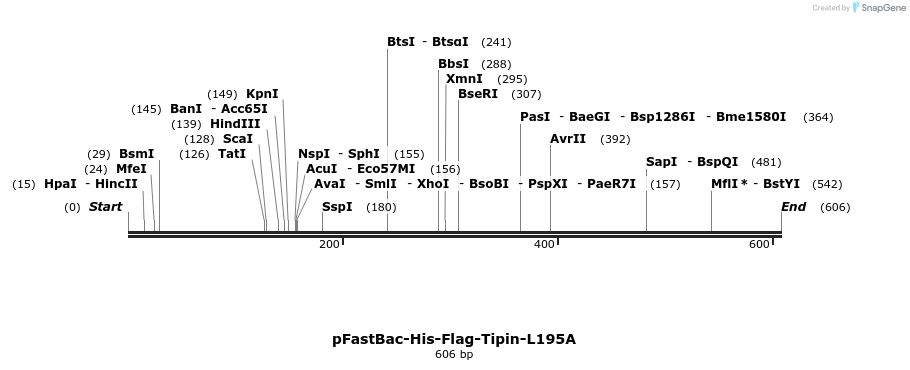 28983_map