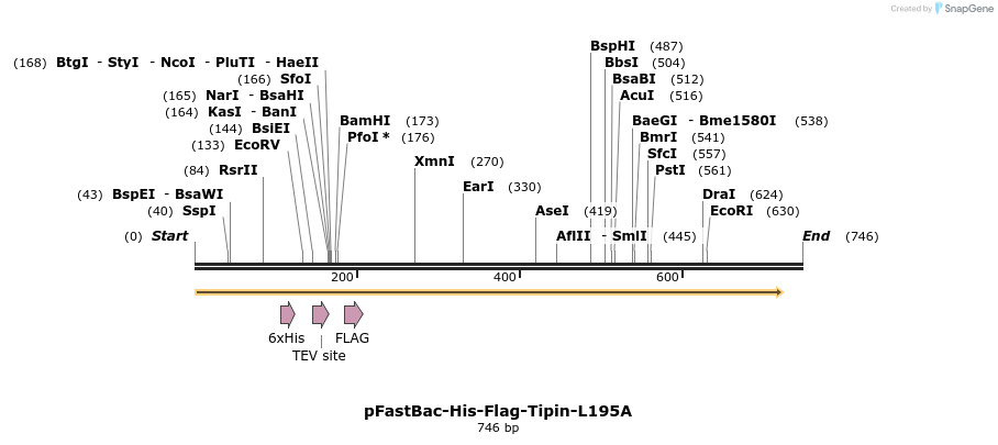 28984_map