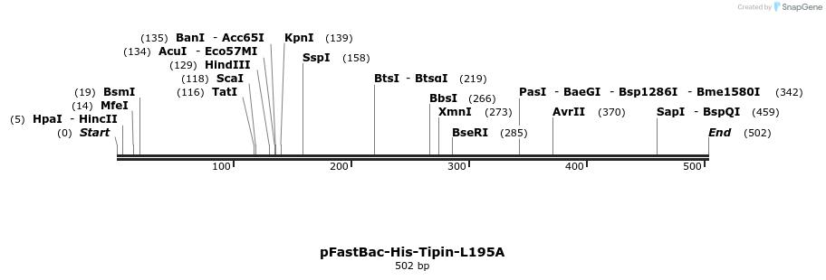 28985_map