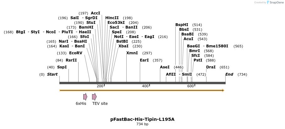28986_map
