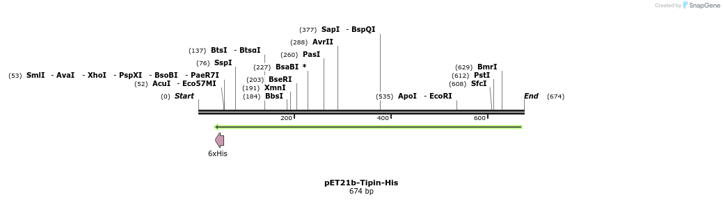 28987_map
