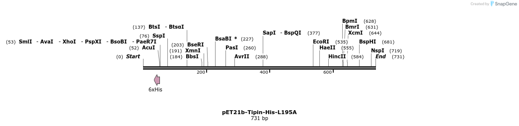 28988_map