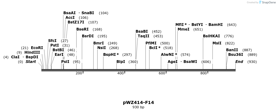 28989_map