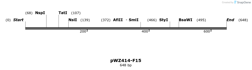 28990_map
