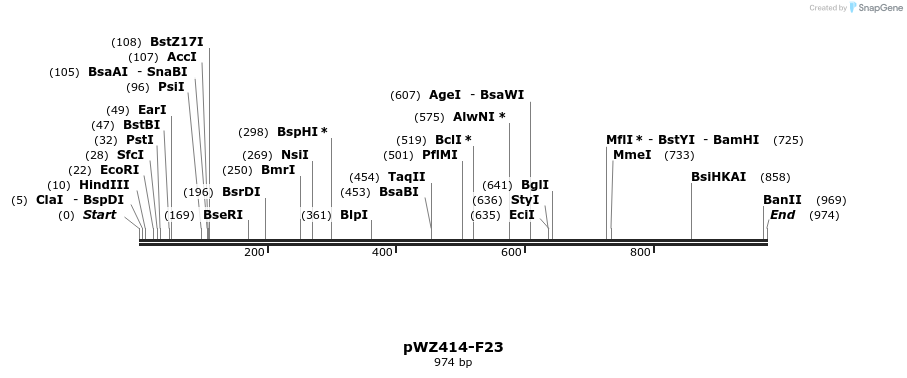28993_map