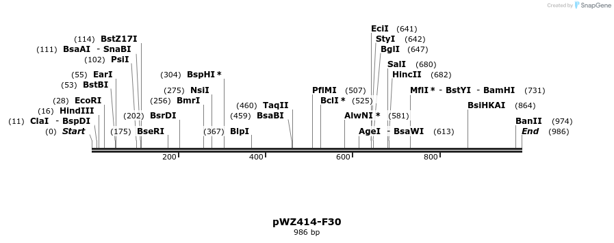 28994_map