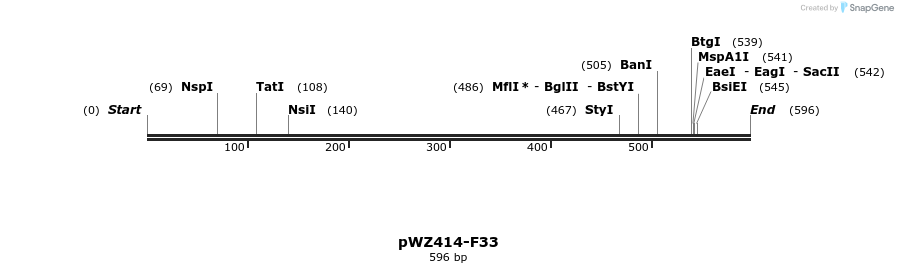 28996_map