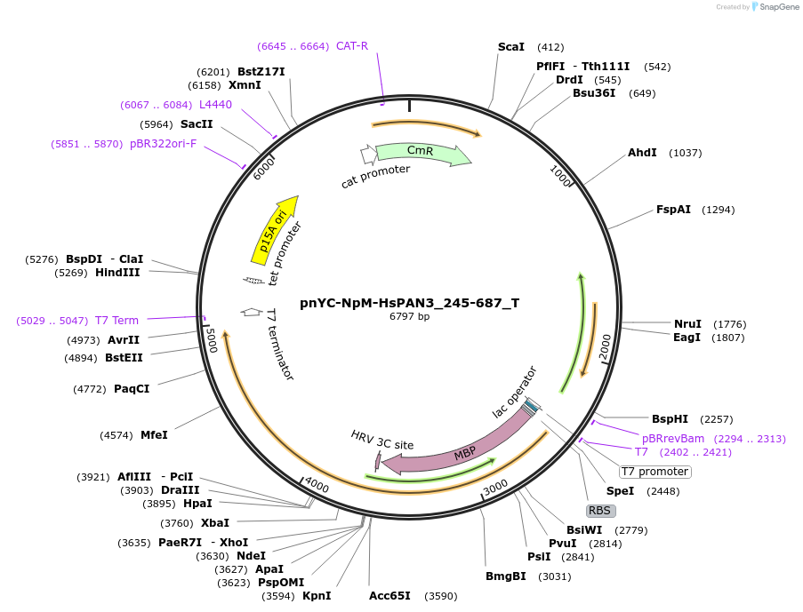 290019_map