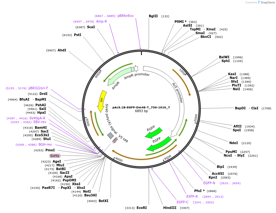 290022_map