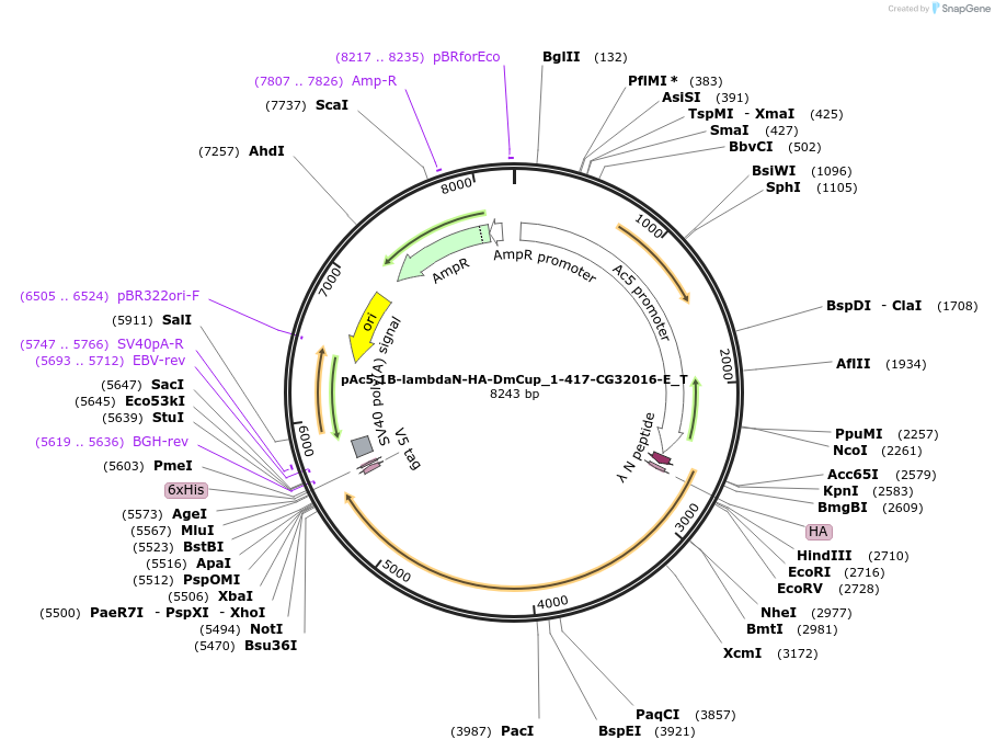290030_map