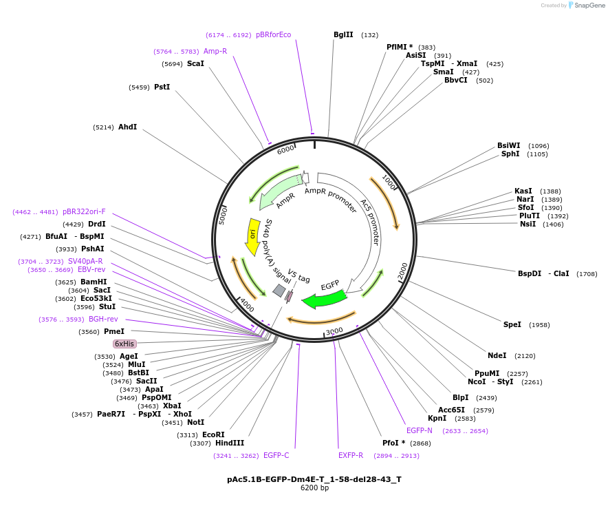 290043_map