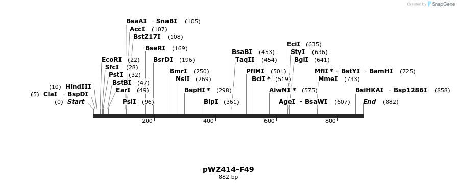 29005_map
