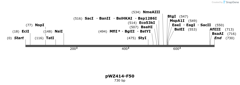 29006_map