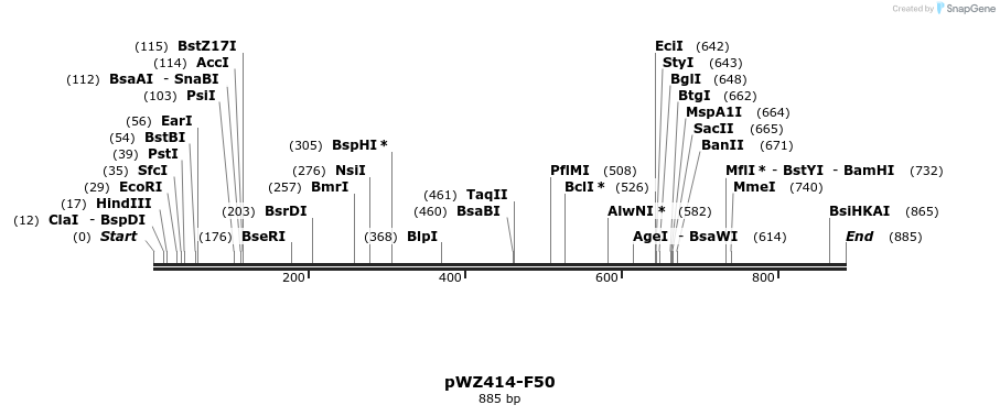 29007_map