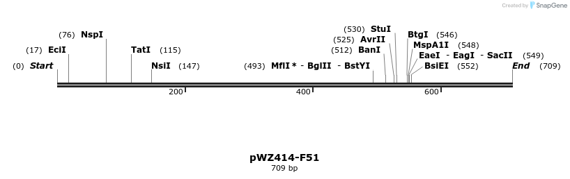 29008_map
