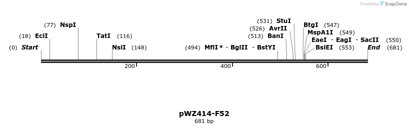 29010_map