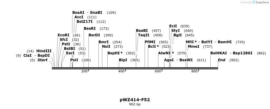 29011_map