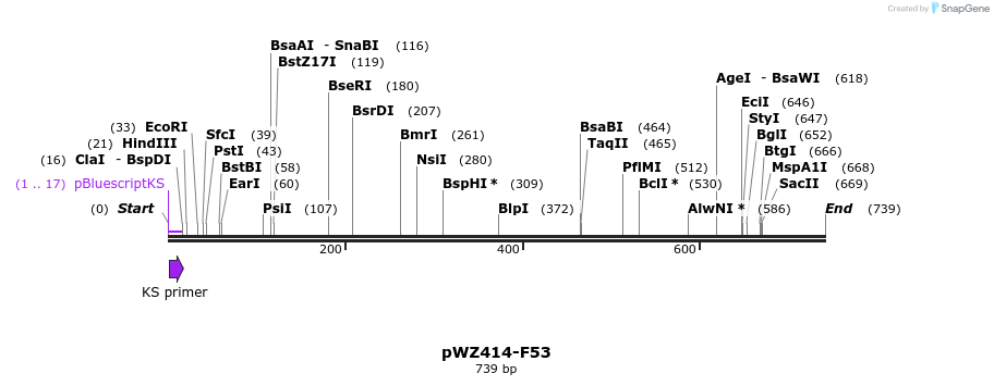 29012_map