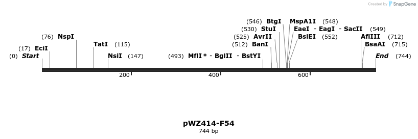 29013_map