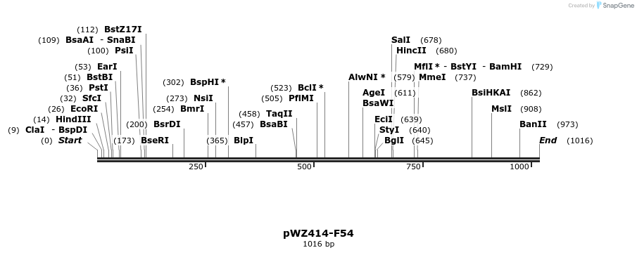 29014_map
